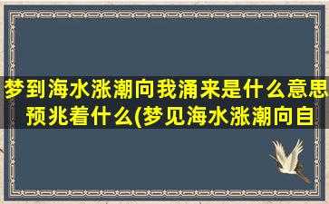 梦到海水涨潮向我涌来是什么意思 预兆着什么(梦见海水涨潮向自己涌来代表什么？预示着什么未来？)